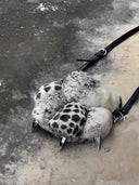 Feral Fluff Tote image 0